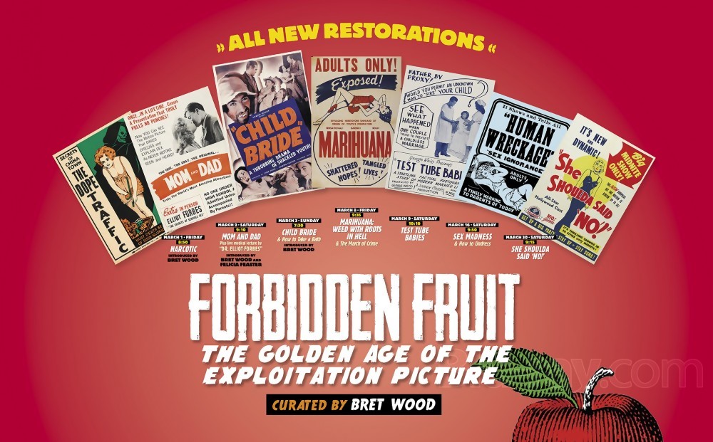 Forbidden Fruit The Golden Age Of The Exploitation Picture