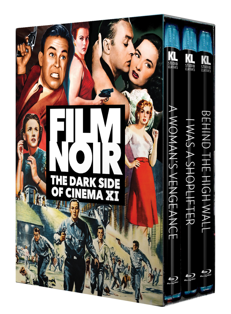 Film Noir: The Dark Side of Cinema XI Blu-ray