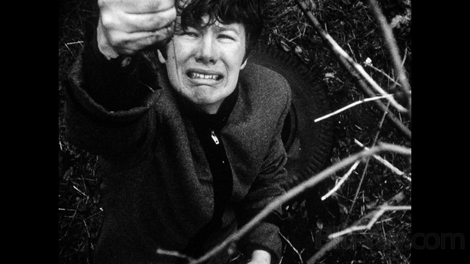 Vinegar Syndrome Bluray Releases